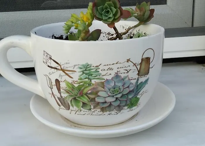 Virgin Rocks House Apartment *