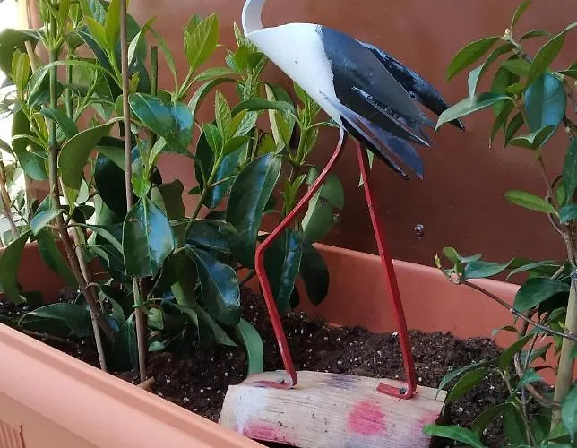 Virgin Rocks House Apartment Kalambaka